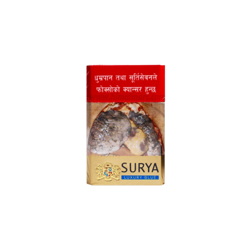  Surya Lights Pack